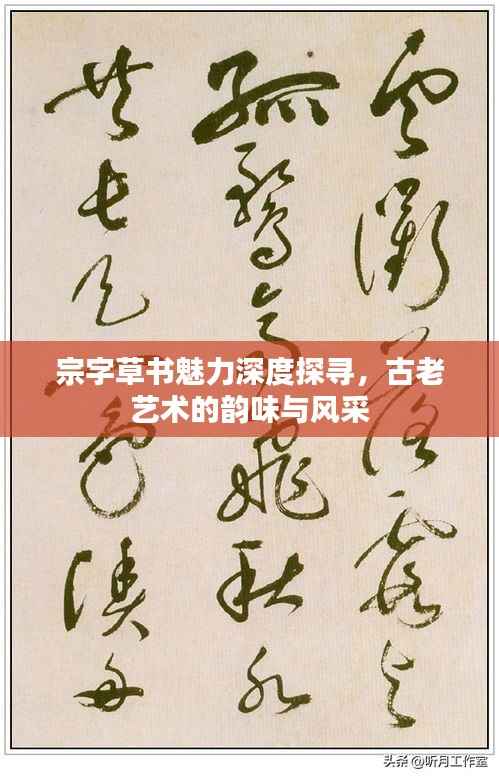 宗字草書魅力深度探尋，古老藝術的韻味與風采