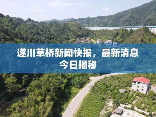 遂川草橋新聞快報，最新消息今日揭秘