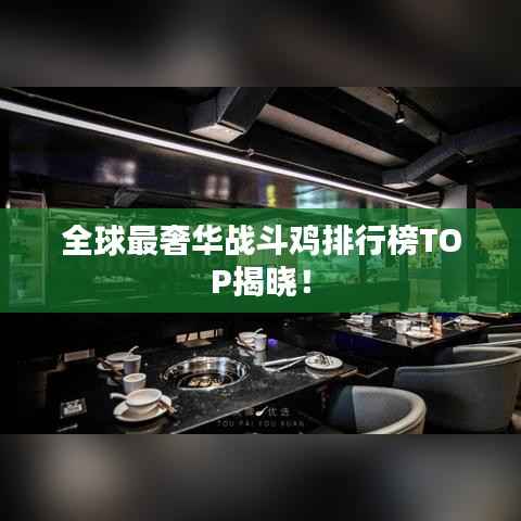 全球最奢華戰(zhàn)斗雞排行榜TOP揭曉！