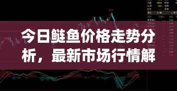 今日鰱魚價格走勢分析，最新市場行情解讀