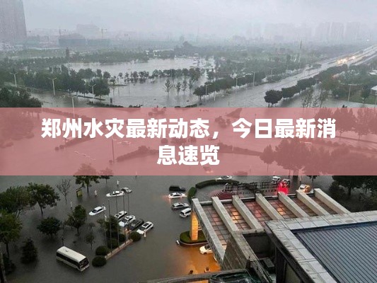 鄭州水災最新動態，今日最新消息速覽