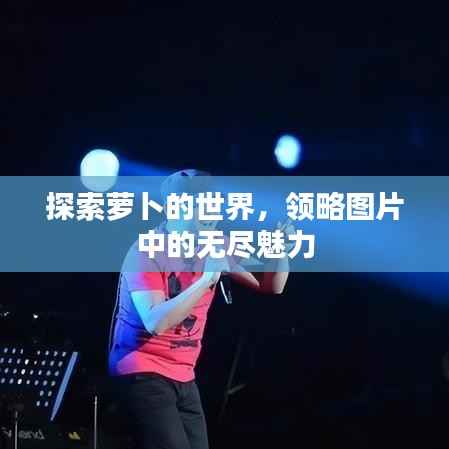 探索蘿卜的世界，領(lǐng)略圖片中的無盡魅力