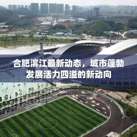 合肥濱江最新動態，城市蓬勃發展活力四溢的新動向