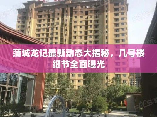 蒲城龍記最新動態大揭秘，幾號樓細節全面曝光