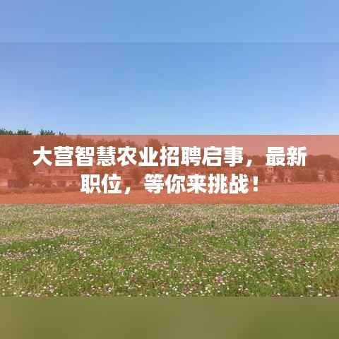 大營智慧農(nóng)業(yè)招聘啟事，最新職位，等你來挑戰(zhàn)！
