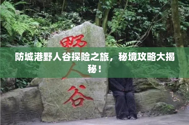 落土飛巖 第3頁