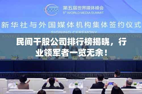 民間干股公司排行榜揭曉，行業(yè)領(lǐng)軍者一覽無余！