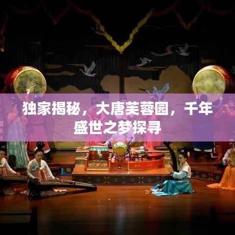 獨家揭秘，大唐芙蓉園，千年盛世之夢探尋