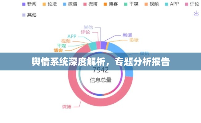 輿情系統深度解析，專題分析報告