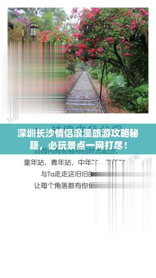 深圳長沙情侶浪漫旅游攻略秘籍，必玩景點一網打盡！
