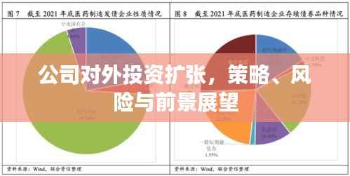 公司對外投資擴(kuò)張，策略、風(fēng)險與前景展望