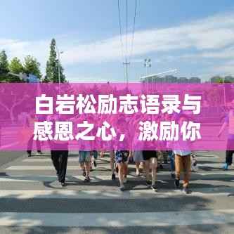 白巖松勵志語錄與感恩之心，激勵你前行的力量之源